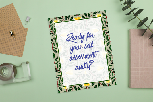 self assessment audits