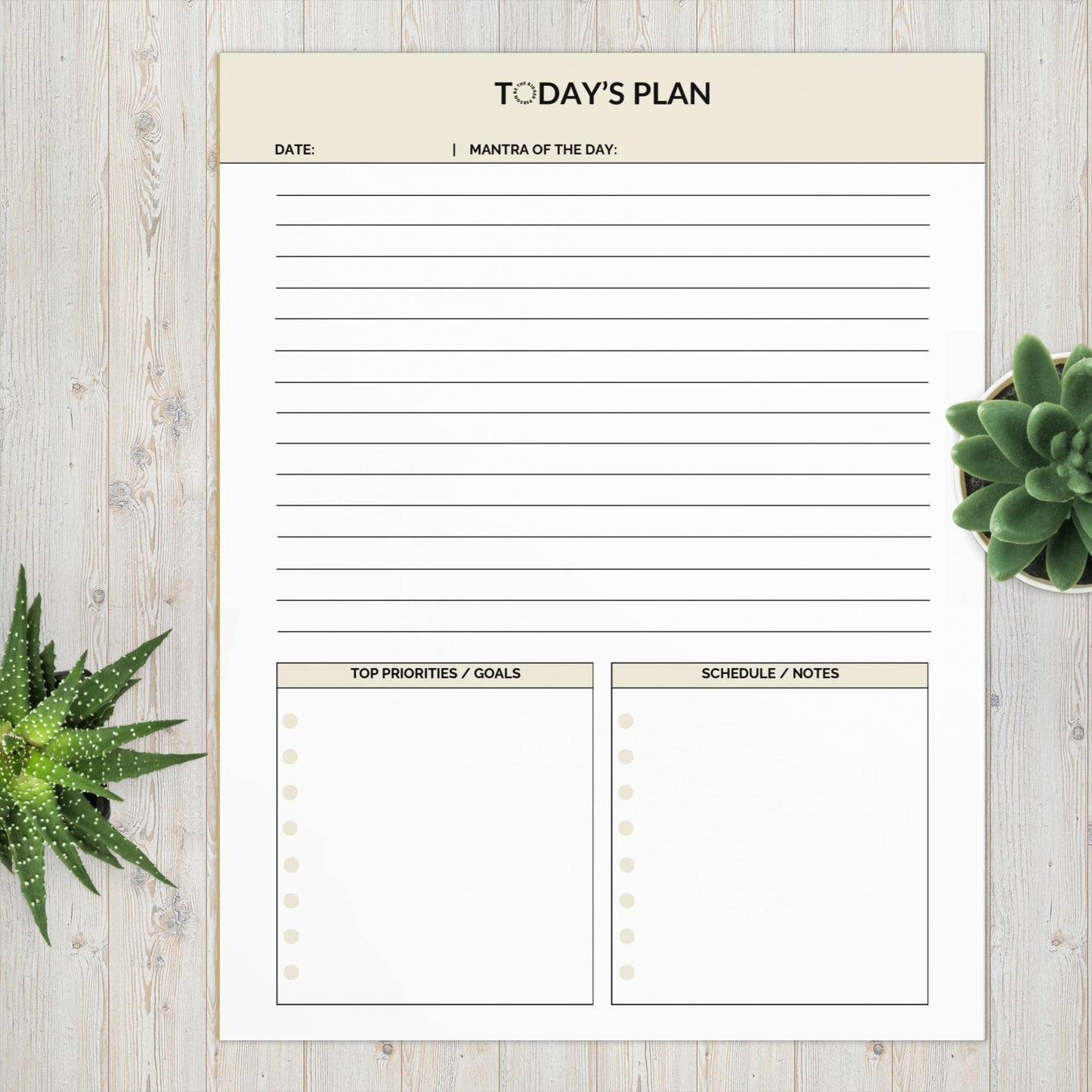 TODAY'S PLAN SHEETS | Letter-Size Productivity Notepad